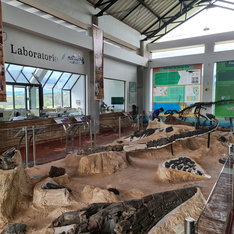 cipaleo12Carrousel
