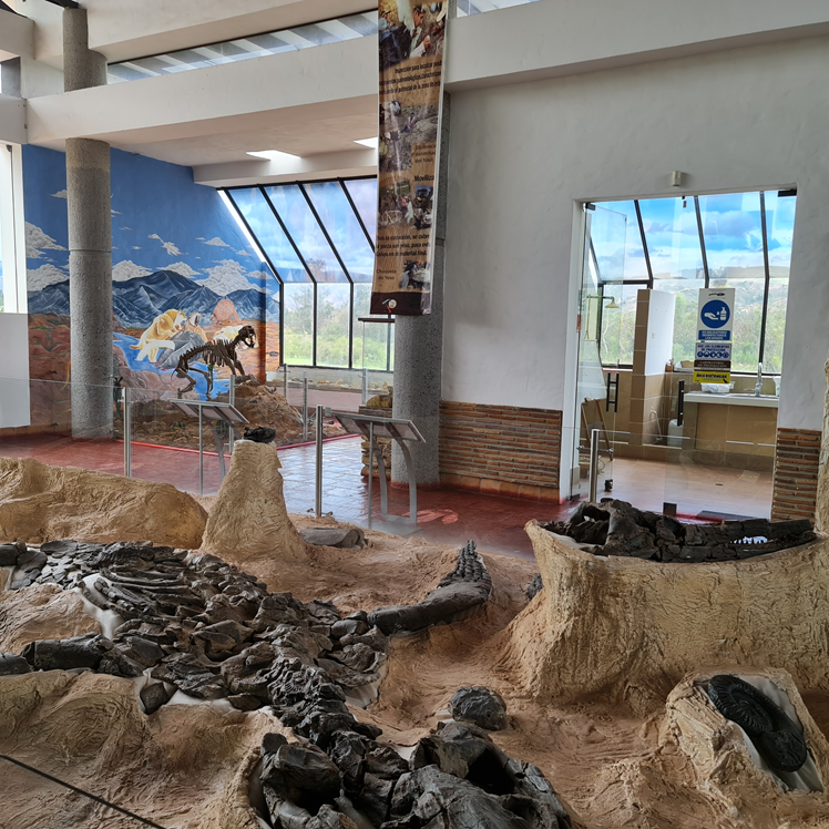 cipaleo13Carrousel