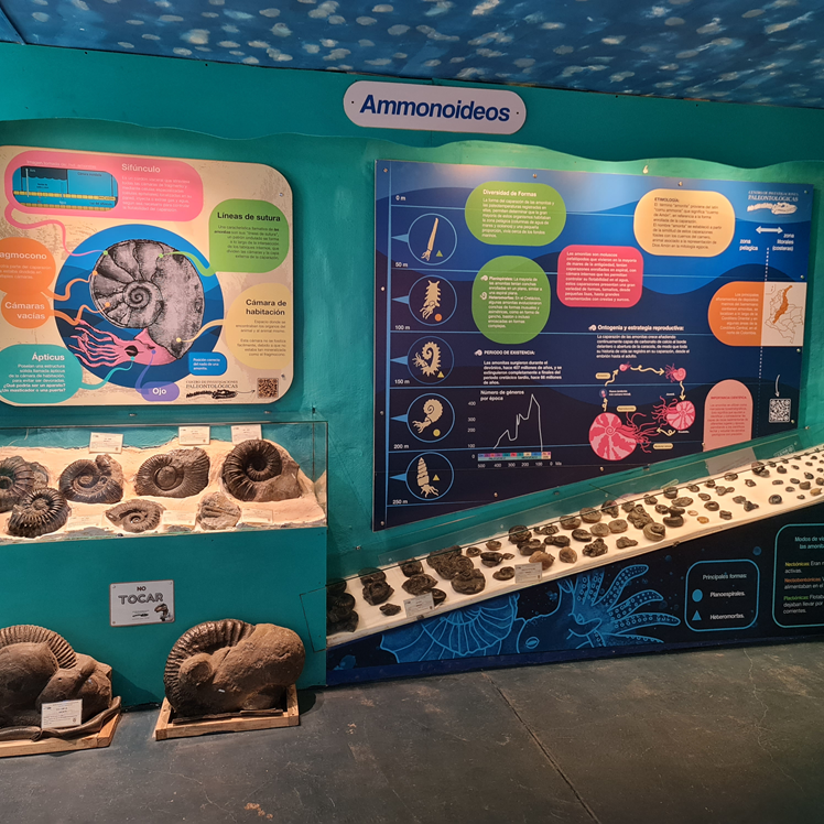 cipaleo14Carrousel