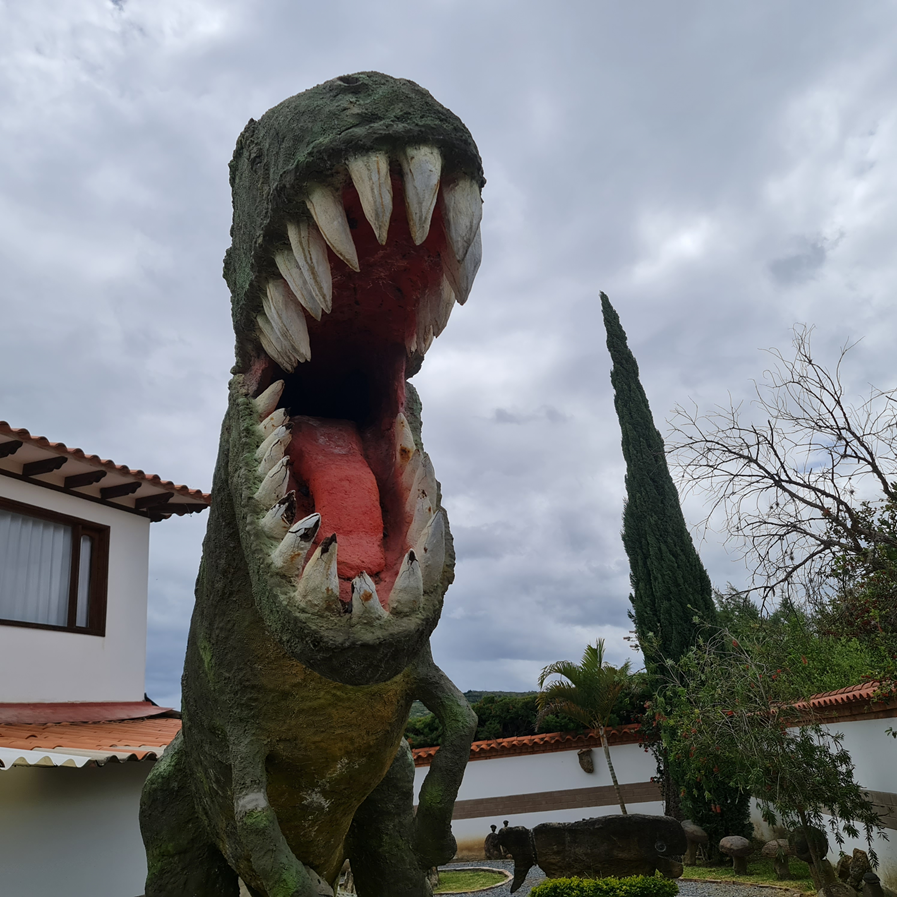 piedrasImaginacionResized5