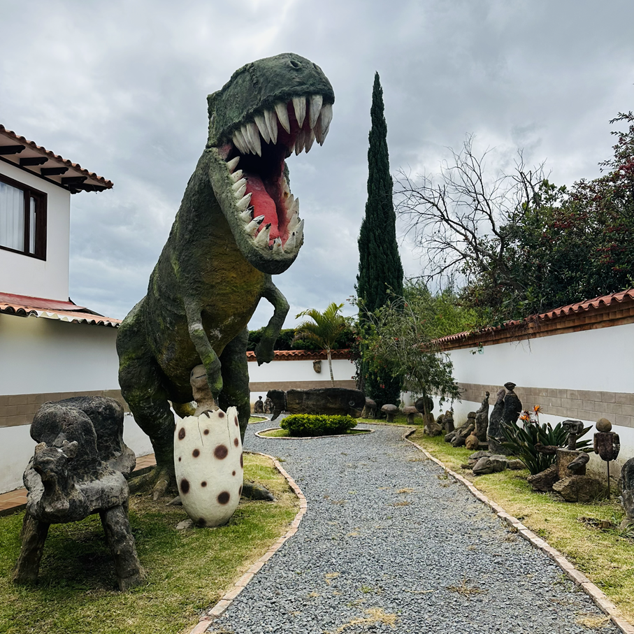 piedrasImaginacionResized8